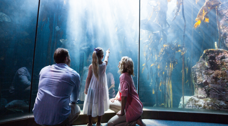 Zoos and Aquariums USA