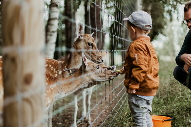 Toronto Zoo