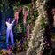 Monet: The Immersive Experience