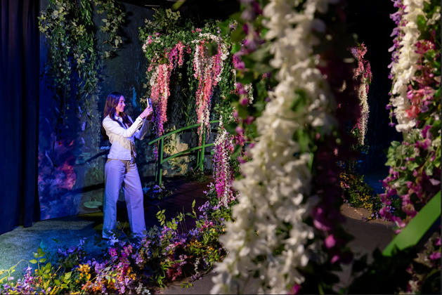 Monet: The Immersive Experience