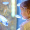 Miami Seaquarium