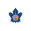 Toronto Marlies