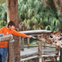 Zoos and Aquariums USA
