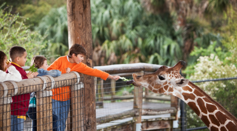 Zoos and Aquariums USA
