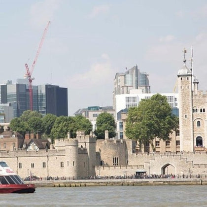 Westminster Walking Tour, River Cruise & Tower of London