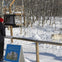 Yamnuska Wolfdog Sanctuary: Entry Ticket + Guided Tour