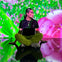 Reflections - Immersive Exhibit