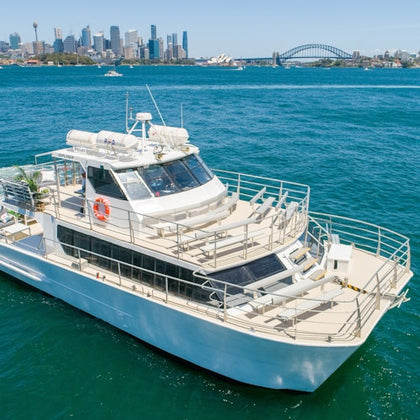 Premium Vivid Cruise