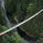 Vancouver: Capilano Suspension Bridge Park & City Tour