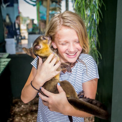 Houston Interactive Aquarium & Animal Preserve