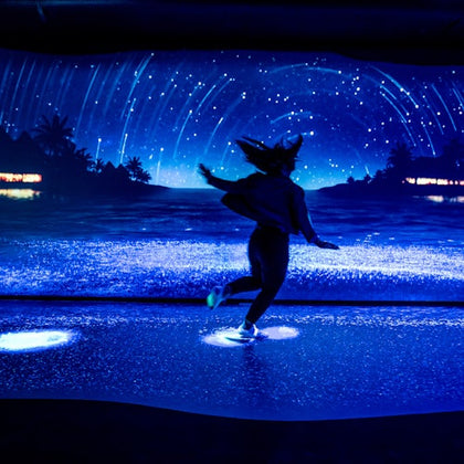 Sydney: Ultimate Pass with 5 Attractions