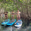 Girls on paddleboards
