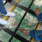 Blue Mountains Sydney: Hop-on Hop-off Bus + Scenic World Unlimited Rides Pass