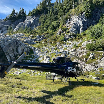 Helicopter landed in a grassy area with rocks surrounding