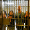 A group of people standing behind a metal gate, smiling and holding the bars. The background shows an indoor setting.