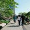 High Line, Chelsea & Hudson Yards Walking with Edge Ticket