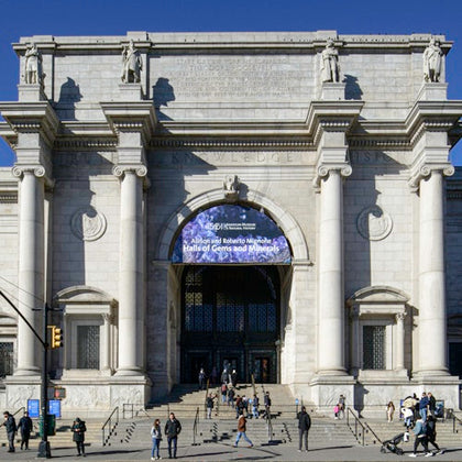 American Museum of Natural History (AMNH): Entry Ticket