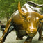 Charging Bull