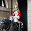King's Guard