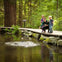 Vancouver: Capilano Suspension Bridge Park & City Tour