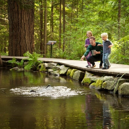 Vancouver: Capilano Suspension Bridge Park & City Tour