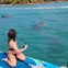 Paddleboard with dolphins