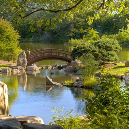 A serene park scene with a wooden arched bridge over a pond, surrounded by trees, rocks, and greenery.