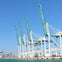 A row of large green and white cranes at a port with a city skyline in the background under a clear blue sky.