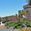 de Young Museum: Entry Ticket