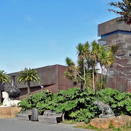 de Young Museum: Entry Ticket
