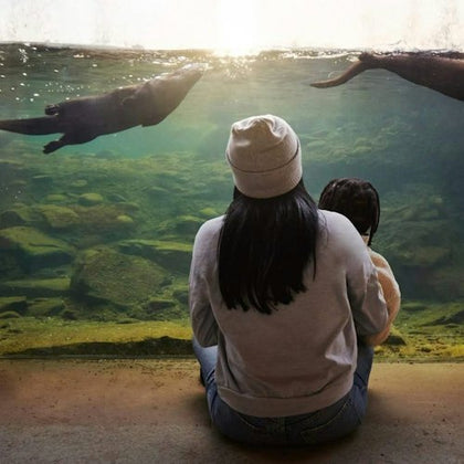 A person and a child sit by a large aquarium window watching otters swim in the water.