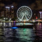 Skyviews Miami Observation Wheel: Entry Ticket
