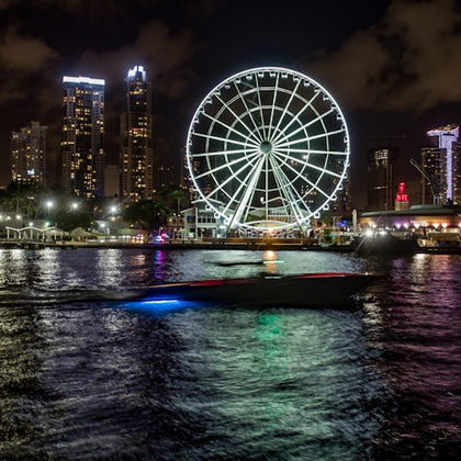Skyviews Miami Observation Wheel: Entry Ticket
