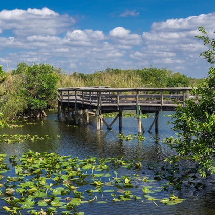 Everglades National Park