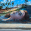 Fulton Market: Street Art Tour