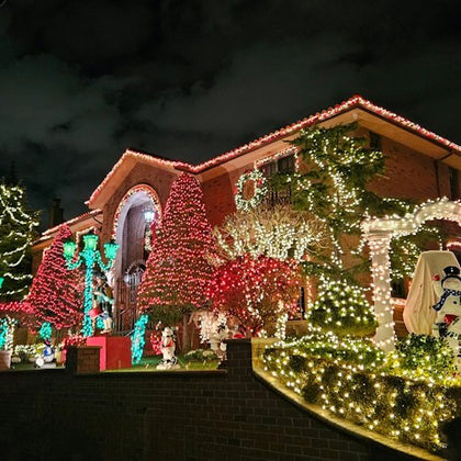 Trees and bushes are covered in lights