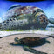 Aquarium of the Pacific: Membership Voucher