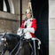 King's Guard