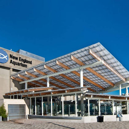 The exterior of the New England Aquarium featuring a modern glass and wood canopy under a clear blue sky.