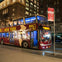 New York Holiday Lights Tour
