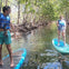 mangrove paddleboard