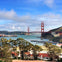 From San Francisco: Day Trip to Muir Woods & Sausalito