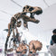 Royal Ontario Museum: General Admission Ticket