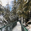 A snowy forest trail with a metal railing winds through tall evergreen trees under a partly cloudy sky.
