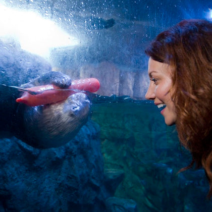 Aquarium of the Pacific: Membership Voucher