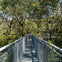A person walks along a metal bridge surrounded by tall trees in a forest setting under a clear sky.