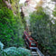 People enjoy the Scenic Railway, part of Scenic World in Katoomba, Blue Mountains