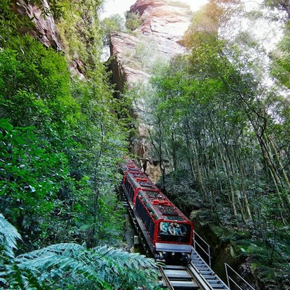 People enjoy the Scenic Railway, part of Scenic World in Katoomba, Blue Mountains