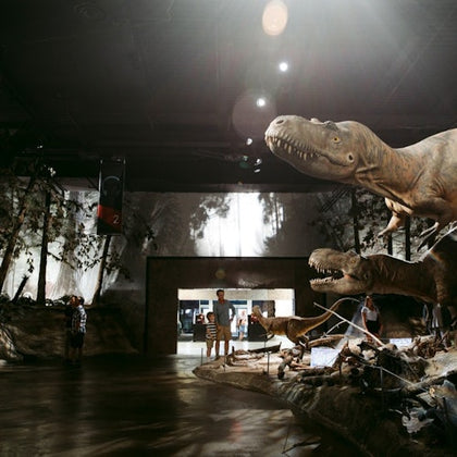 A museum exhibit featuring large dinosaur models in a dimly lit room with visitors observing them.