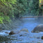 Lynn Creek